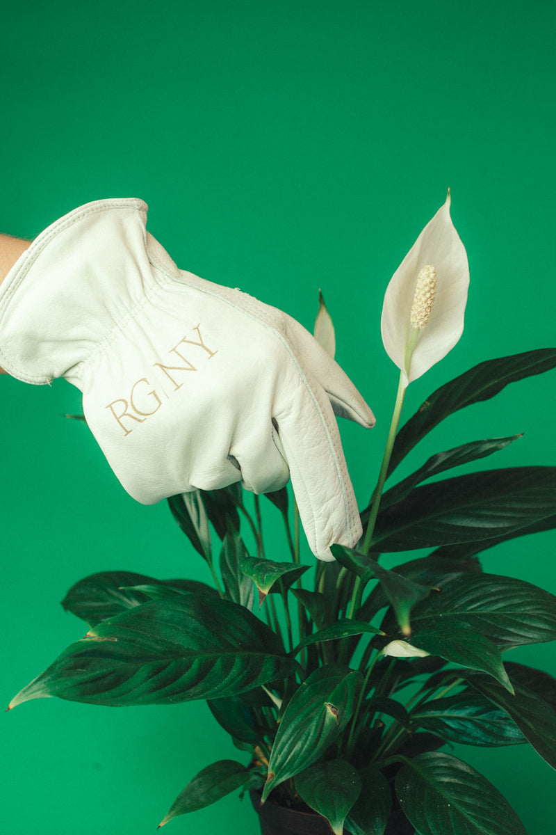 RG Gardening Gloves — RG|NY