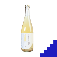 Load image into Gallery viewer, Scielo Sparkling Riesling 2023