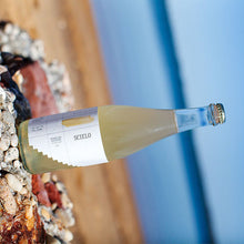Load image into Gallery viewer, Scielo Sparkling Riesling 2023