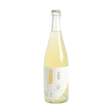 Load image into Gallery viewer, Scielo Sparkling Riesling 2023