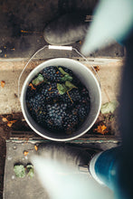Load image into Gallery viewer, Help Us Harvest 2023