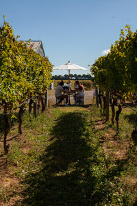 Help Us Harvest 2025