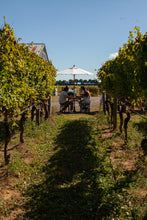 Load image into Gallery viewer, Help Us Harvest 2026

