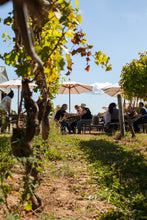 Load image into Gallery viewer, Help Us Harvest 2026
