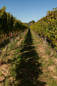 Help Us Harvest 2025