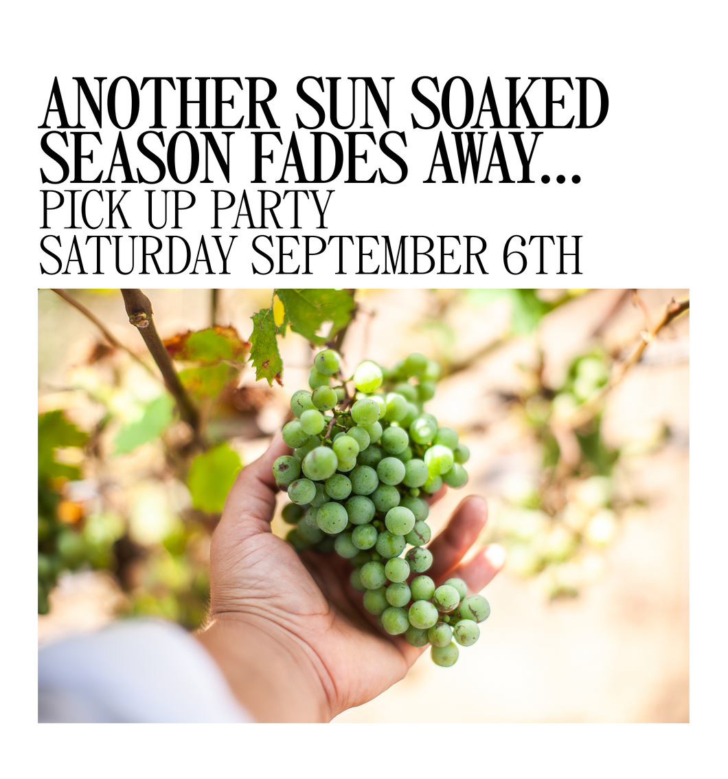RG Wine Club Pick Up Party