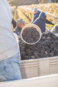 Help Us Harvest 2025