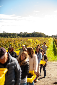 Help Us Harvest 2025