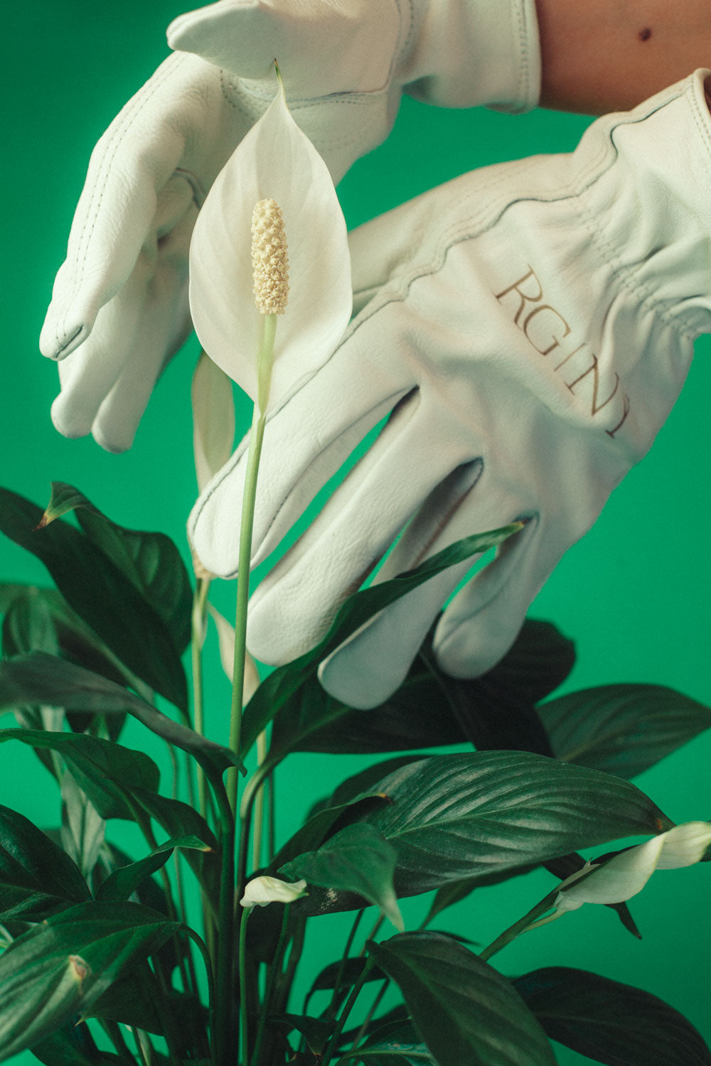 green gardening gloves RG Gardening Gloves — RG|NY