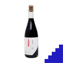 Load image into Gallery viewer, Scielo Sparkling Merlot 2022
