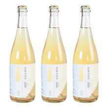 Load image into Gallery viewer, CASE: Scielo Sparkling Riesling 2023
