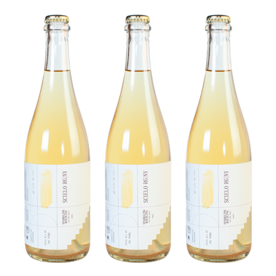 Three Pack: Scielo Sparkling Riesling 2023