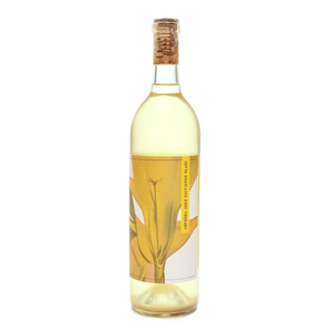 2021 Skin-Fermented Amphora Sauvignon Blanc