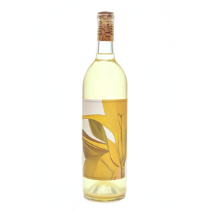 2021 Skin-Fermented Amphora Sauvignon Blanc