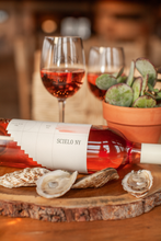 Load image into Gallery viewer, Scielo Rosé 2024
