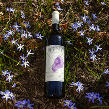 Load image into Gallery viewer, PREORDER • 2024 RG Petit Verdot
